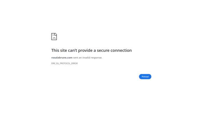 Capture de rosalabrune.com
