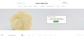 Capture de savonspotionsetcie.com