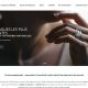 Capture de tellor-diamantaire.fr