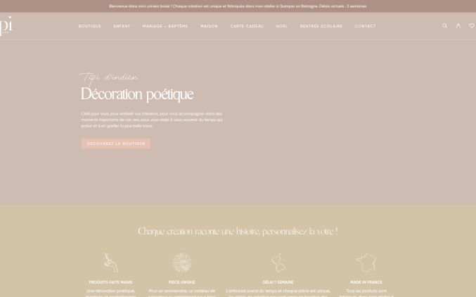 Capture de tipidindien.fr