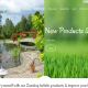 Capture de zenshop.ch